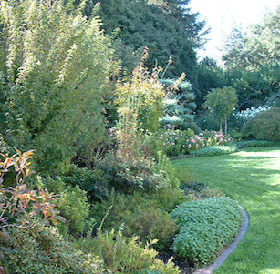 Atherton Tranquility Garden